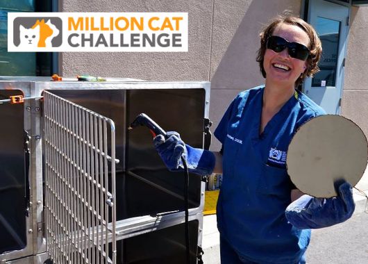 Dr. Cindy Karsten portalizes cat cages